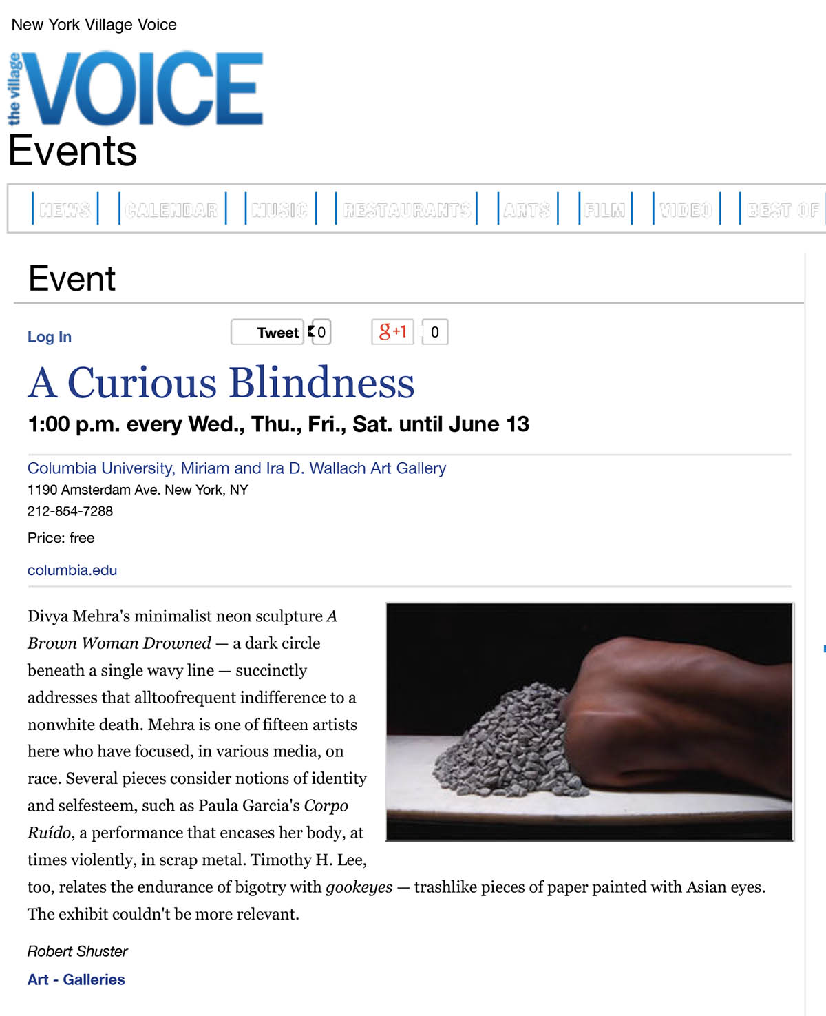 A Curious Blindness_Village Voice